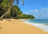 Vorschau: Beste Reisezeit São Tomé und Príncipe